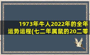 1973年牛人2022年的全年运势运程(七二年属鼠的20二零年的运势)