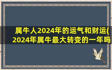 属牛人2024年的运气和财运(2024年属牛最大转变的一年吗)