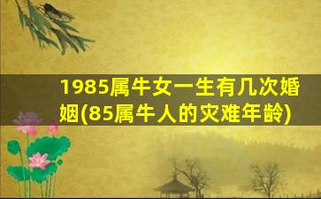 1985属牛女一生有几次婚姻(85属牛人的灾难年龄)