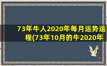 73年牛人2020年每月运势运程(73年10月的牛2020年运势)