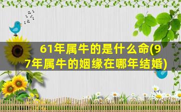 61年属牛的是什么命(97年属