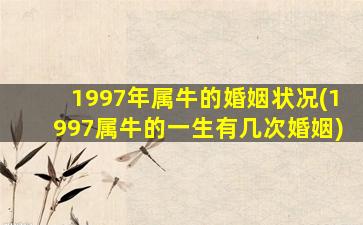 1997年属牛的婚姻状况(1997属牛的一生有几次婚姻)