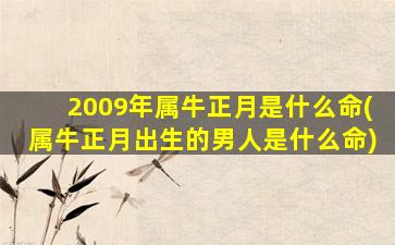 2009年属牛正月是什么命