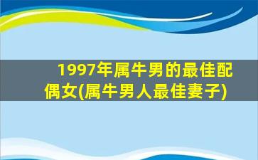 1997年属牛男的最佳配偶