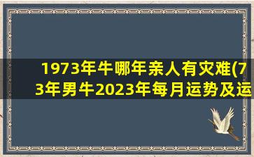 1973年牛哪年亲人有灾难