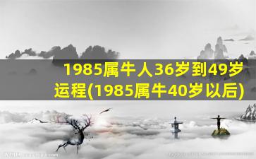 1985属牛人36岁到49岁运程