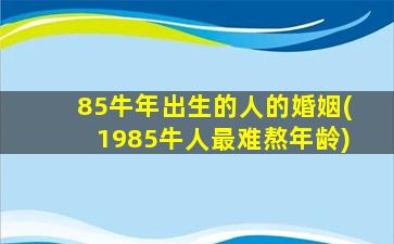 85牛年出生的人的婚姻