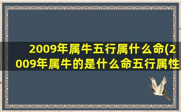 2009年属牛五行属什么命