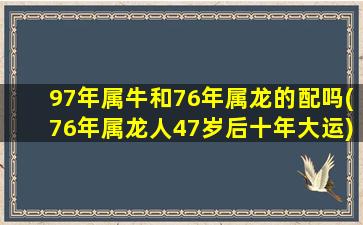 97年属牛和76年属龙的配