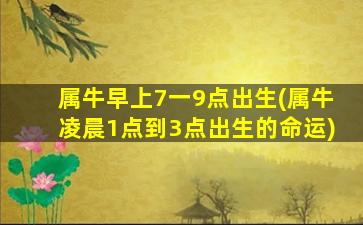 属牛早上7一9点出生(属牛