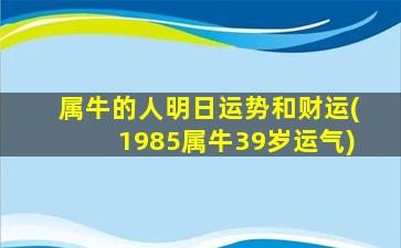 属牛的人明日运势和财运(1985属牛39岁运气)