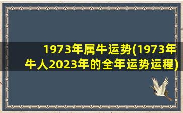 1973年属牛运势(1973年牛人2023年的全年运势运程)