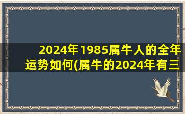 2024年1985属牛人的全年运势如何(属牛的2024年有三喜)