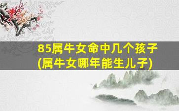 85属牛女命中几个孩子(属