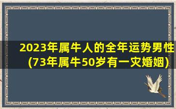 2023年属牛人的全年运势男性(73年属牛50岁有一灾婚姻)