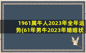 1961属牛人2023年全年运势(61年男牛2023年婚姻状况)