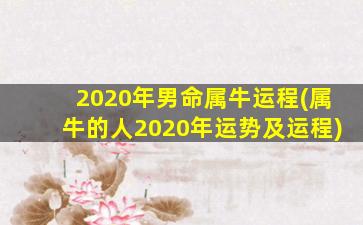 2020年男命属牛运程(属牛的人2020年运势及运程)