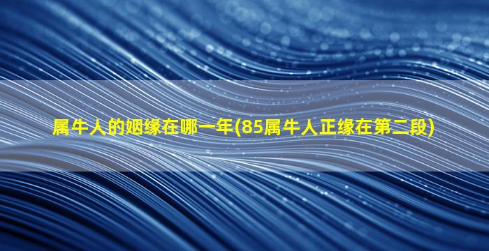 属牛人的姻缘在哪一年(85属牛人正缘在第二段)