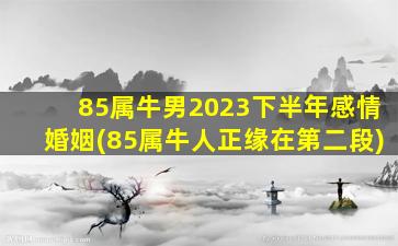 85属牛男2023下半年感情婚姻(85属牛人正缘在第二段)