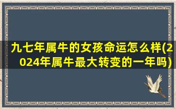 九七年属牛的女孩命运怎么样(2024年属牛最大转变的一年吗)