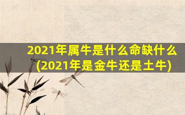 2021年属牛是什么命缺什么(2021年是金牛还是土牛)