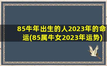 <strong>85牛年出生的人2023年的命</strong>