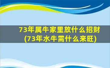 73年属牛家里放什么招财(73年水牛需什么来旺)