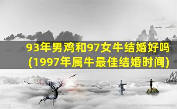 93年男鸡和97女牛结婚好