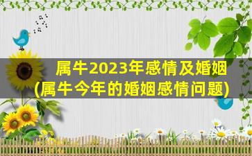 属牛2023年感情及婚姻(属牛今年的婚姻感情问题)