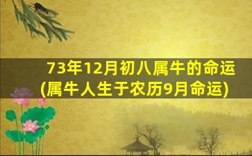 73年12月初八属牛的命运