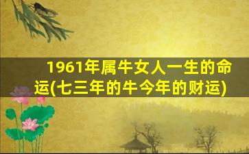 1961年属牛女人一生的命运(七三年的牛今年的财运)