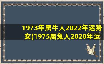 1973年属牛人2022年运势女(1975属兔人2020年运势)