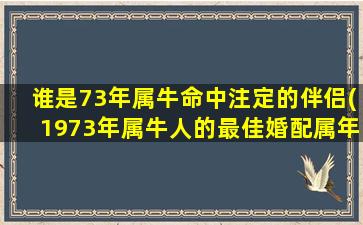 谁是73年属牛命中注定的伴侣(1973年属牛人的最佳婚配属年份)