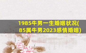 1985牛男一生婚姻状况(85属牛男2023感情婚姻)