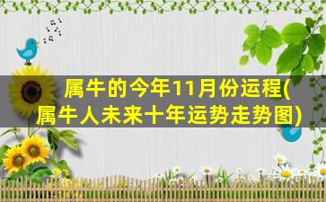 属牛的今年11月份运程(属牛人未来十年运势走势图)