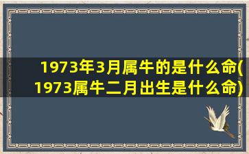 1973年3月属牛的是什么命