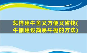 怎样建牛舍又方便又省钱(牛棚建设简易牛棚的方法)