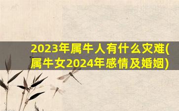 2023年属牛人有什么灾难(属牛女2024年感情及婚姻)