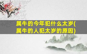 属牛的今年犯什么太岁(属