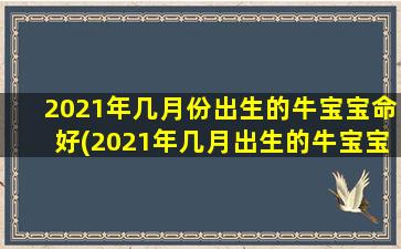 2021年几月份出生的牛宝宝命好(2021年几月出生的牛宝宝最好)