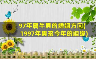 97年属牛男的婚姻方向(1997年男孩今年的姻缘)