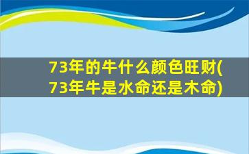 73年的牛什么颜色旺财(73年牛是水命还是木命)