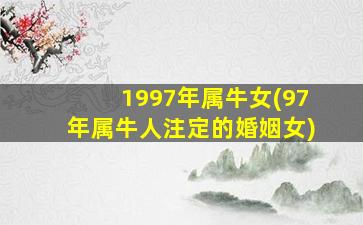 1997年属牛女(97年属牛人注定的婚姻女)