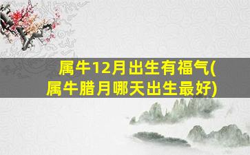 属牛12月出生有福气(属牛