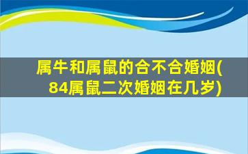 属牛和属鼠的合不合婚姻(84属鼠二次婚姻在几岁)