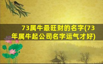 73属牛最旺财的名字(73年属牛起公司名字运气才好)