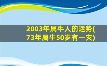 2003年属牛人的运势(73年