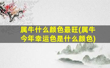 属牛什么颜色最旺(属牛今年幸运色是什么颜色)