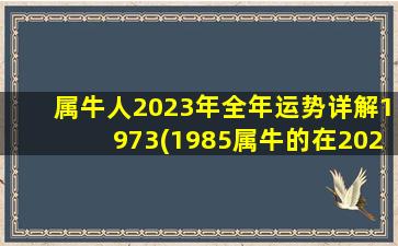 属牛人2023年全年运势详