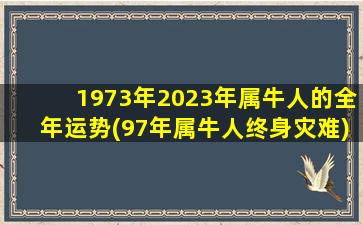 1973年2023年属牛人的全年运势(97年属牛人终身灾难)